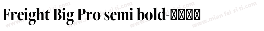Freight Big Pro semi bold字体转换